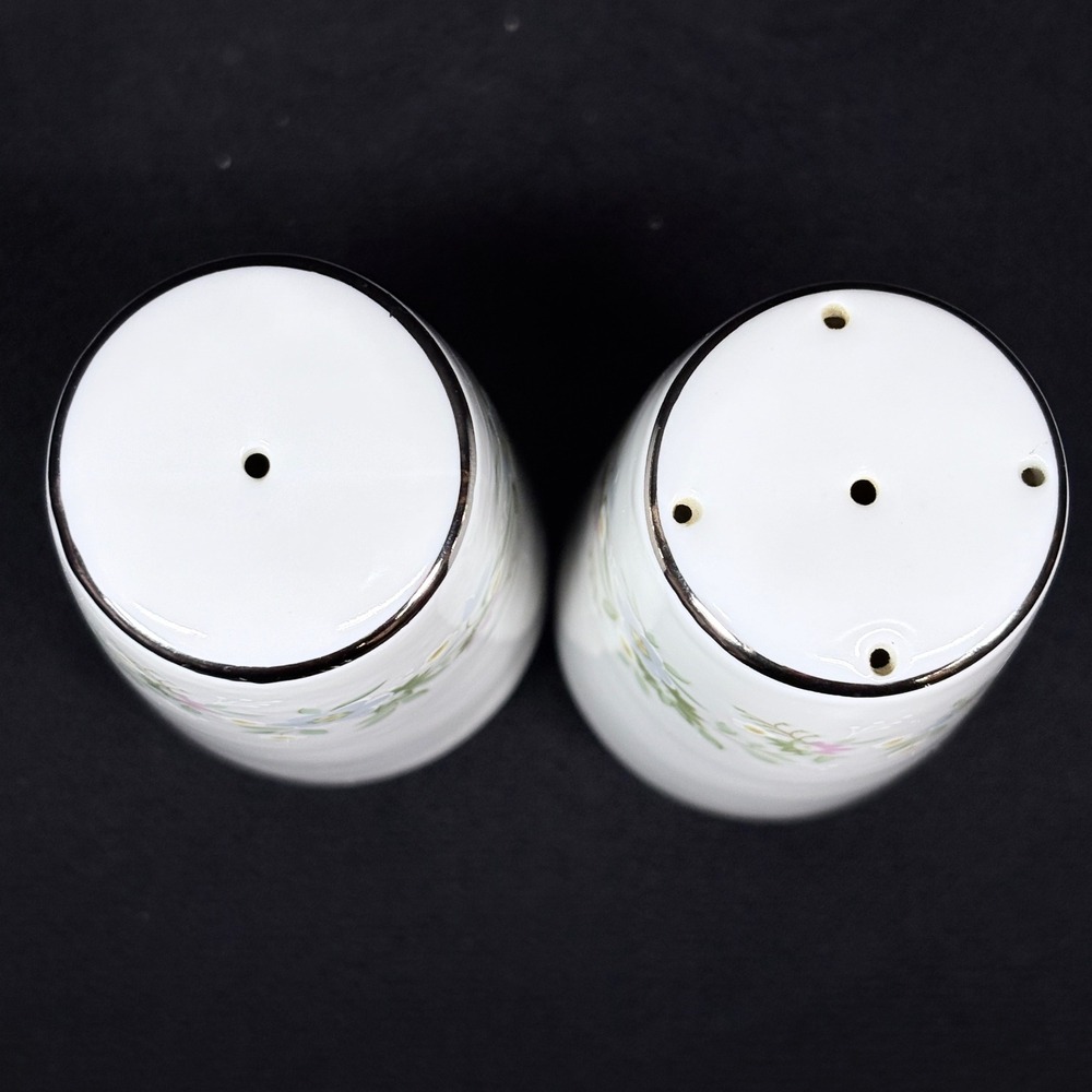 Johann Haviland Bavarian China‎ Forever Spring Salt & Pepper Shakers Floral - Picture 5 of 6